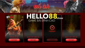 Tóm tắt thông tin về sảnh cược đá gà Hello88 