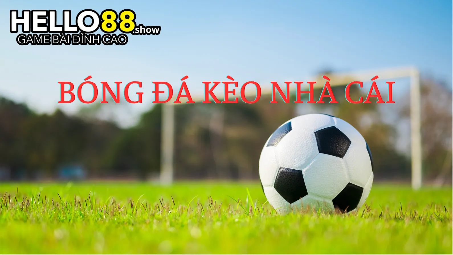 Bóng đá kèo nhà cái luôn thu hút người chơi đặt cược Bóng đá kèo nhà cái luôn thu hút người chơi đặt cược