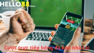 Tìm hiểu khái niệm trực tiếp bóng đá kèo nhà cái là gì?