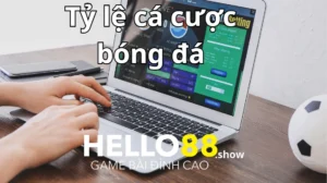 Cách đánh giá tỷ lệ kèo cá cược chính xác nhất