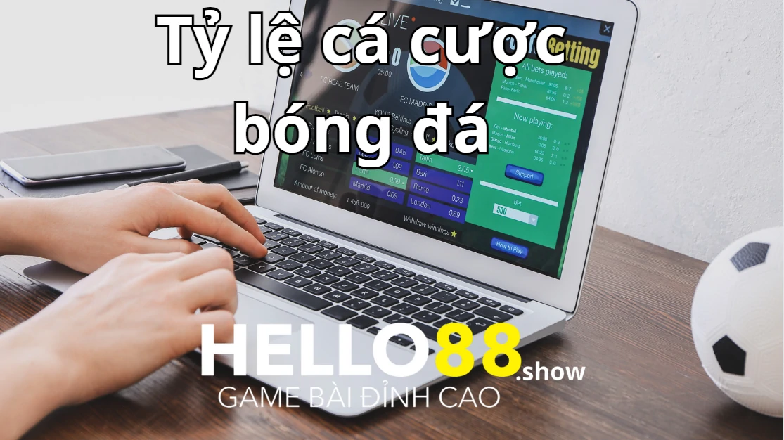 Cách đánh giá tỷ lệ kèo cá cược chính xác nhất Cách đánh giá tỷ lệ kèo cá cược chính xác nhất